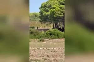 «Cacciatori sparano vicino alle case», rivolta a Marina di Lizzano: «I residenti sono in pericolo» VIDEO