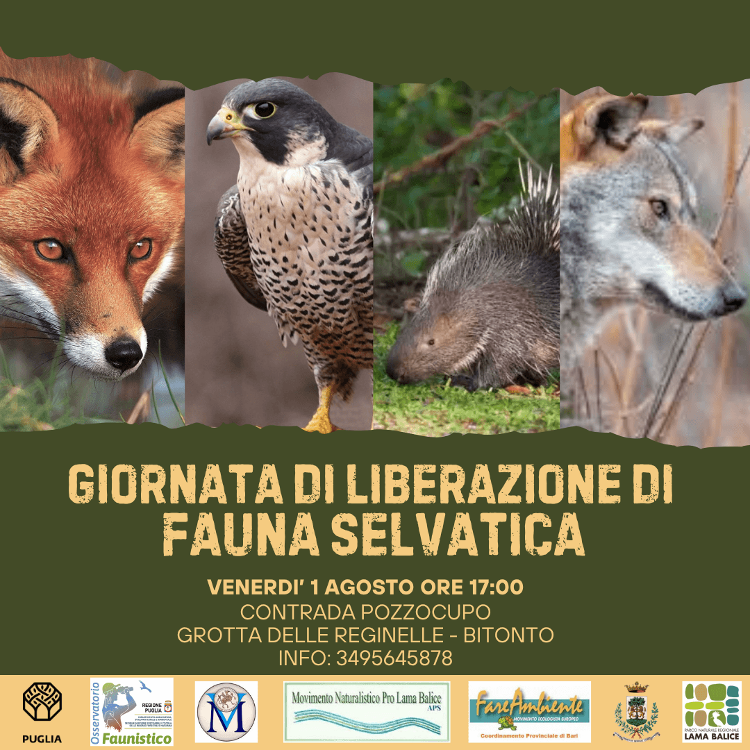 Giornata di liberazione Fauna Selvatica Duplica 1