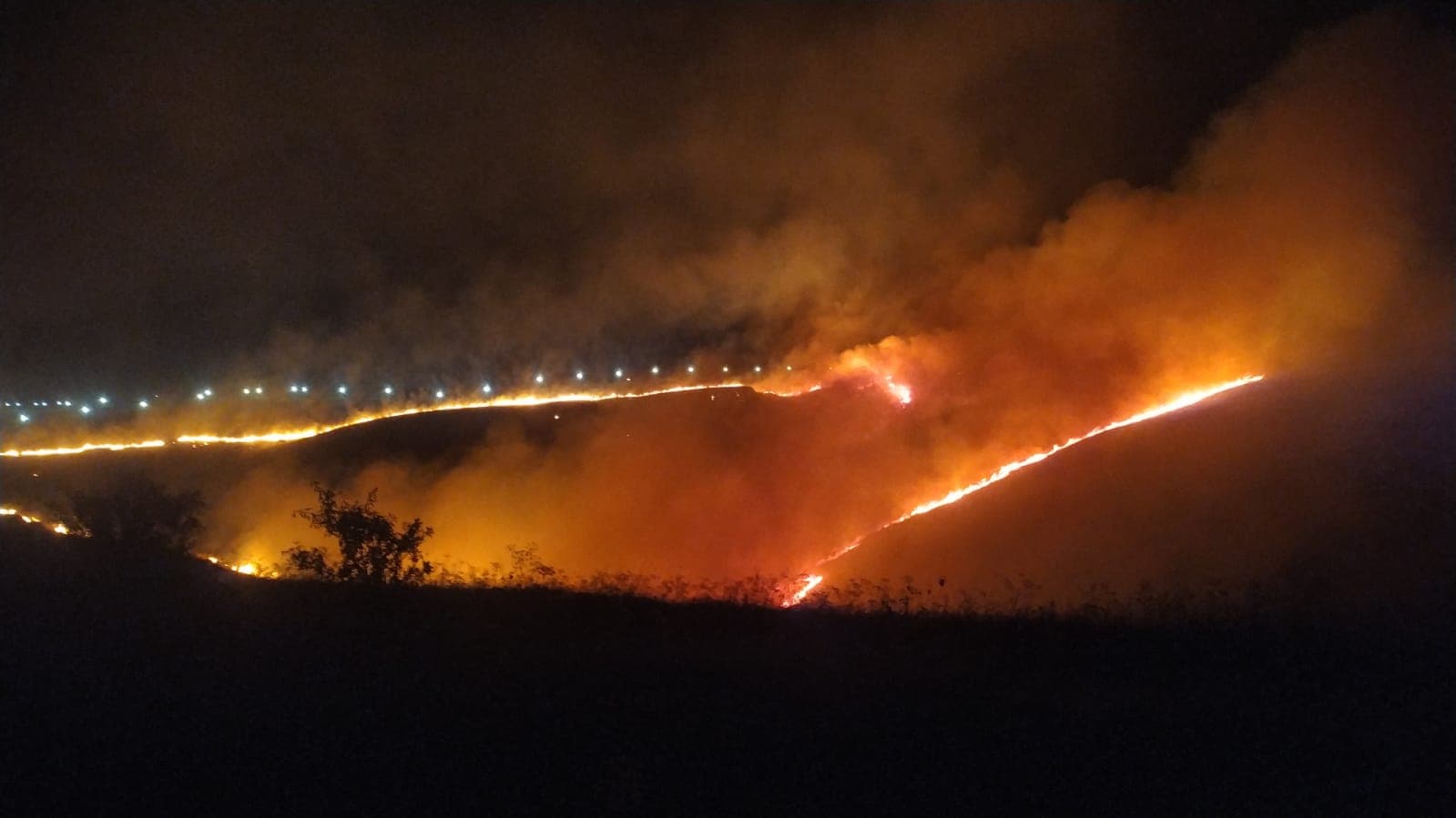 Incendi boschivi in Puglia, stanziati 1,4 milioni per l'acquisto di droni e termocamere
