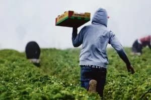 Caporalato e disastro ambientale a Laterza, nuovi sequestri: sigilli a 1,3 milioni tra immobili e denaro