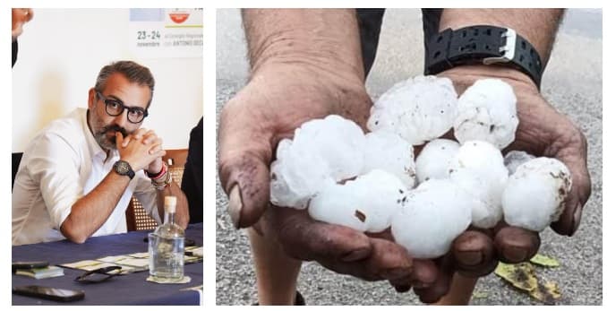 Puglia, polizze sugli investimenti agricoli: c'è la proroga fino al 30 novembre