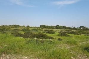 Taranto, nella borgata di Lama nasce il nuovo parco storico naturalistico tematico
