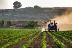 Caporalato, tre aziende agricole sospese nel Tarantino 