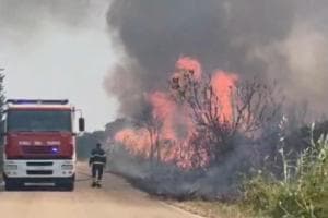 Ancora fiamme nella Palude del Conte: l'incendio tra Torre Colimena e Punta Prosciutto