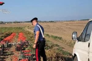 Ginosa, ecco l’esercito degli invisibili. Parlano i migranti sfruttati nei campi: «Da dieci anni non vedo mio figlio»