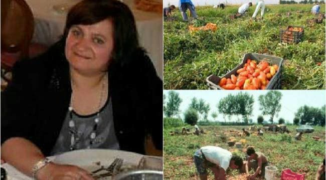 Caso Paola Clemente, la Corte d'Appello bacchetta i pm di Trani dopo l’assoluzione: «Ritardi nell’autopsia sulla bracciante morta»