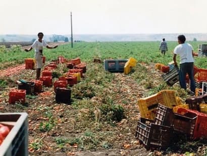 In Puglia istituito tavolo regionale per la futura Politica agricola comune