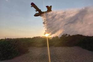 Castellaneta Marina, scoppia l'incendio nella pineta: fiamme lungo la statale, Canadair in azione