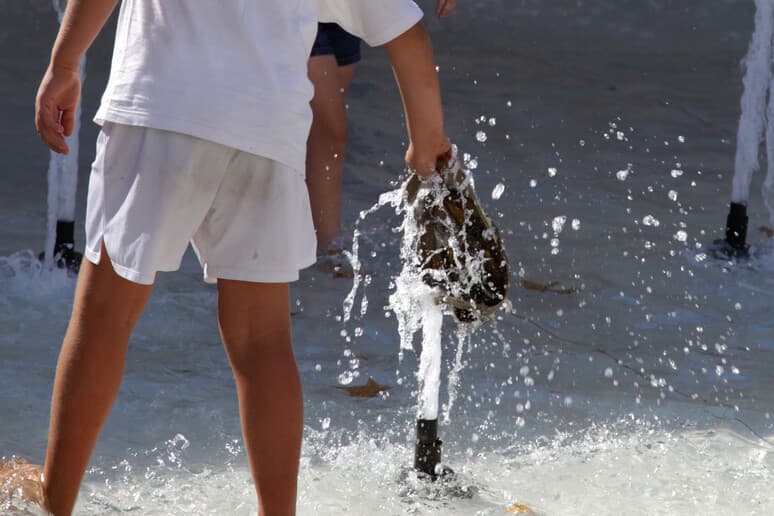 Caldo record in Puglia, picchi fino a 40 gradi: Bari con bollino giallo fino al 17 luglio