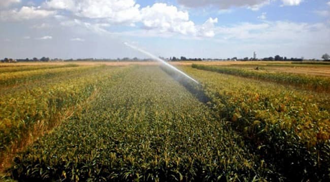 Acqua e imprese agricole, al via l’indagine «H2O»: presentato a Bari il nuovo progetto di Unioncamere