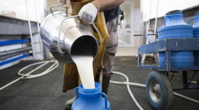 Puglia, prezzo del latte al palo ma si continua a trattare