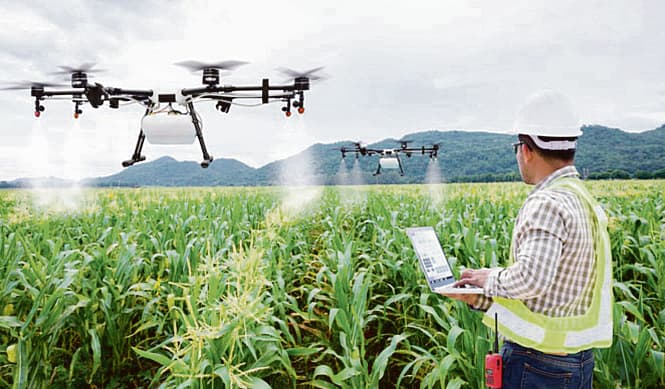 La Puglia protagonista della filiera agroalimentare: ecco sei startup tra sostenibilità, digitale e nuove produzioni