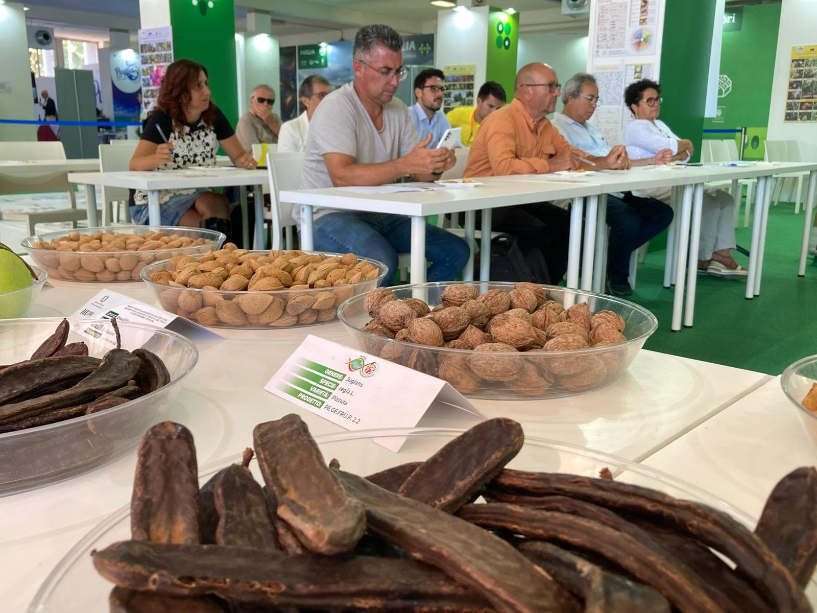Contributi per sagre, fiere, manifestazioni ed eventi: attivo l'avviso pubblico per il III quadrimestre 2026