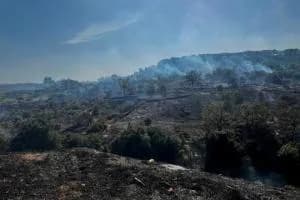 Ginosa, indagini dei carabinieri dopo i quattro incendi in un giorno: al vaglio le telecamere
