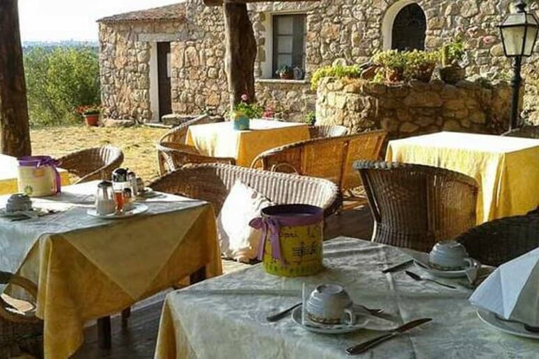 Estate, tutto sold out negli agriturismi di Puglia: uliveti e vigneti i padroni dell'estate