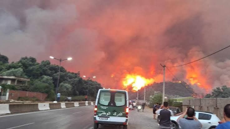 Incendi devastanti in Algeria: bilancio provvisorio di 69 morti e molti feriti