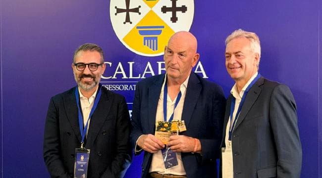 Agricoltura, la richiesta di Puglia e Calabria: «Serve lo stato di crisi per l’olio»
